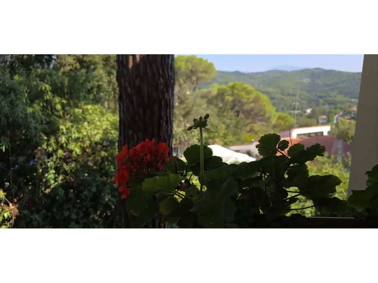 Garden of Houses for sale in Argentona  with Heating, Private garden and Terrace