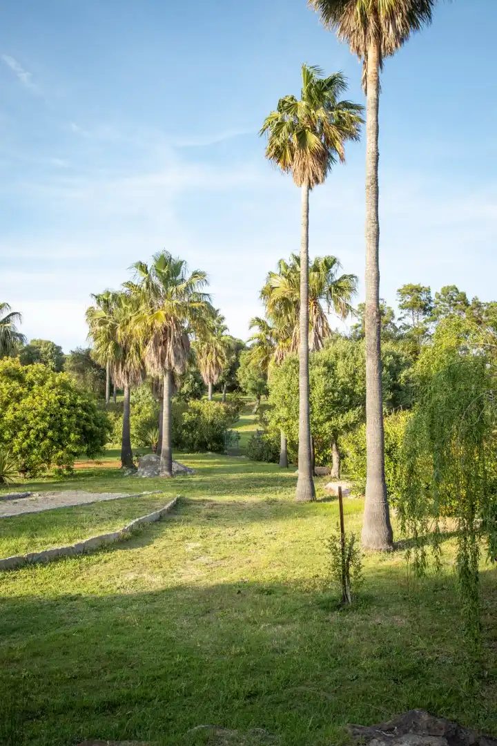 Villa avec terrasse à vendre à Camino de la Pista 3, imagen 23