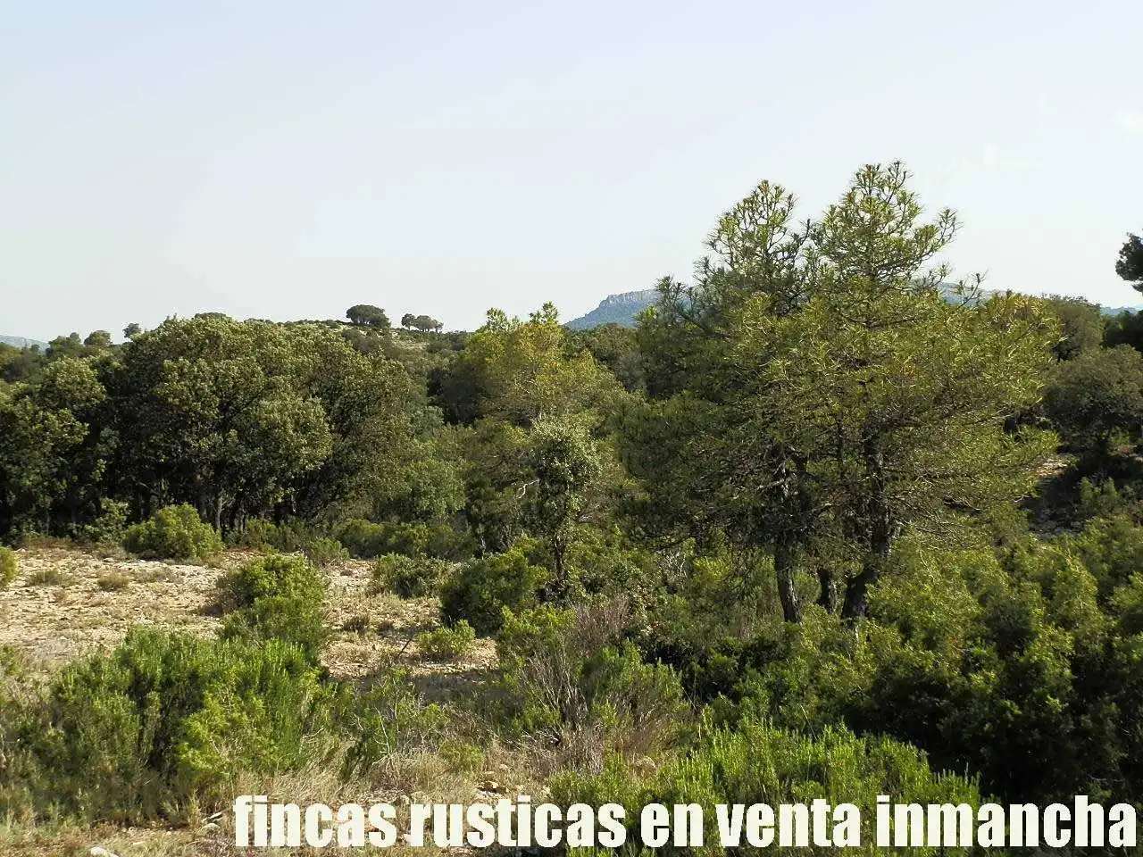 Terreno rustico in vendita a Caravaca de la Cruz, imagen 14