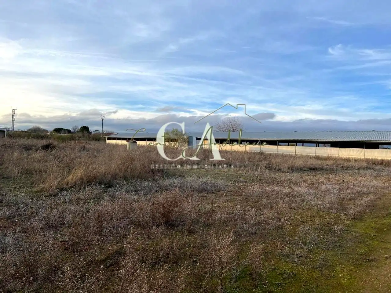 Nave industrial en venta en Carrión de Calatrava, imagen 6