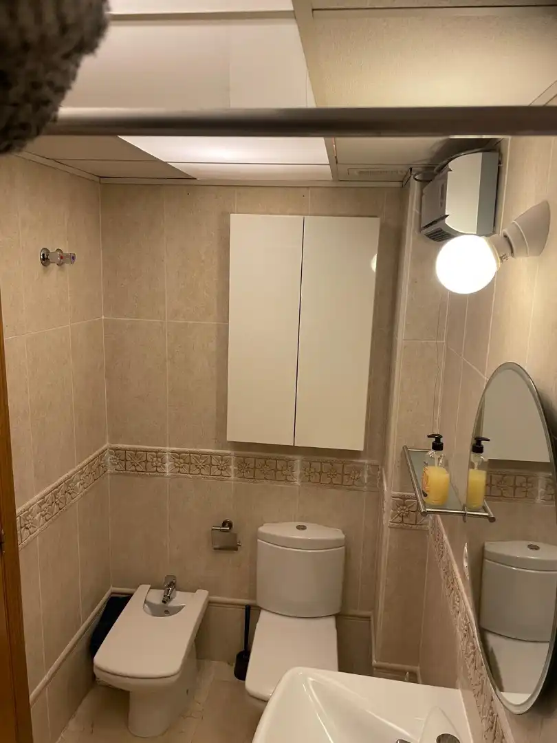 Bathroom of Attic for rent in Alicante / Alacant  with Air Conditioner, Terrace and Furnished