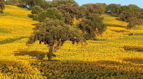 VENTA ESPECTACULAR FINCA RÚSTICA CERCANA A EL BOSQUE