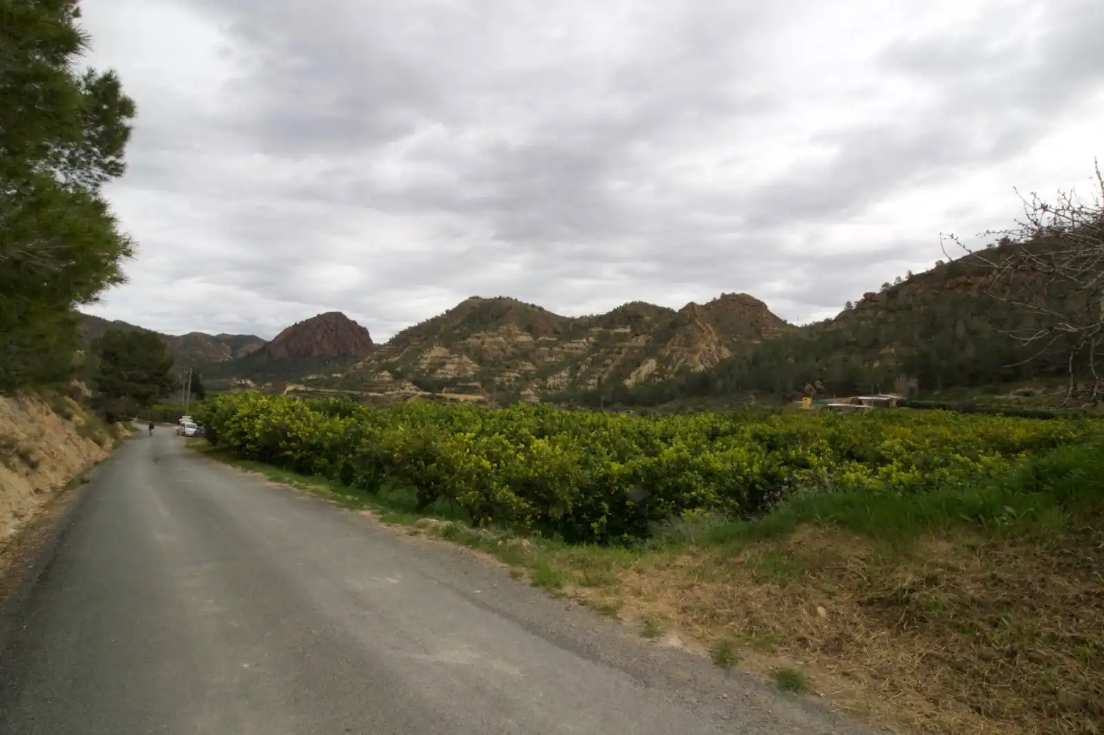 Residencial en venta en Algezares