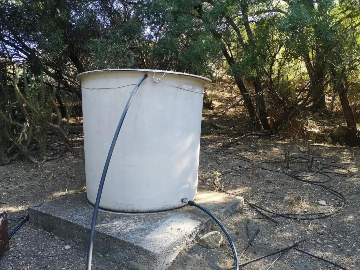 Jardín de Finca rústica en venta en La Vega
