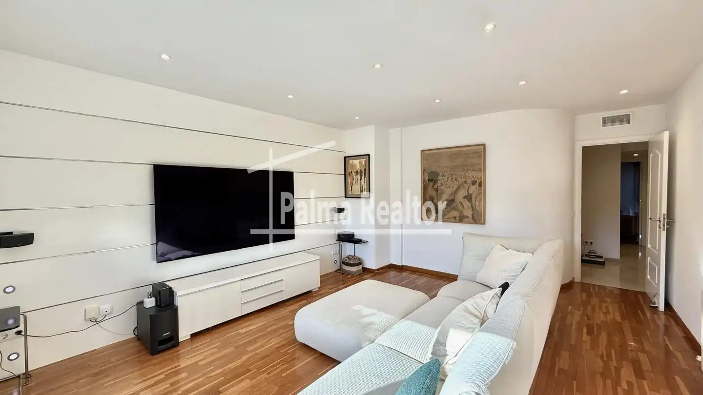 Sala d'estar de Dúplex en venda en  Palma de Mallorca amb Aire condicionat, Calefacció i Jardí privat