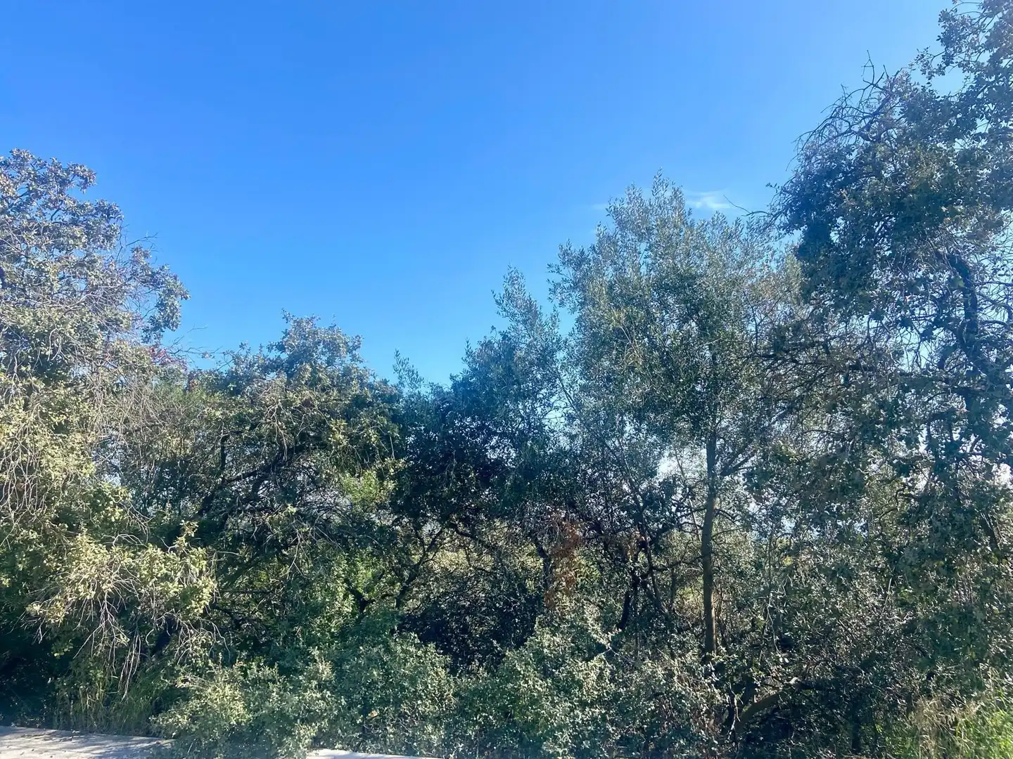 Residential land for sale in Periurbano Norte, imagen 3