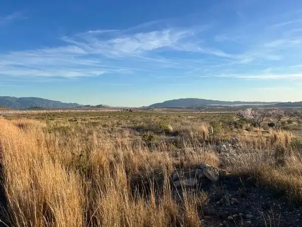 Rural land for sale in Carretera de Barqueros A 11, imagen 7