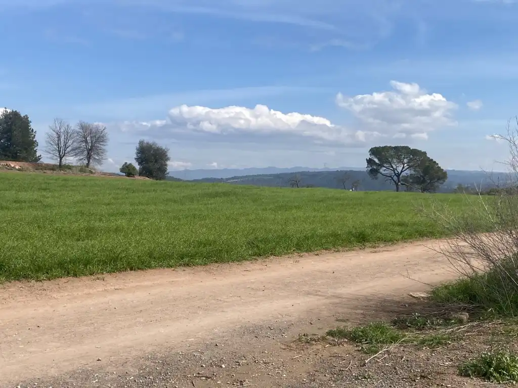 Terreny residencial en venda a Sant Fruitós de Bages, imagen 10