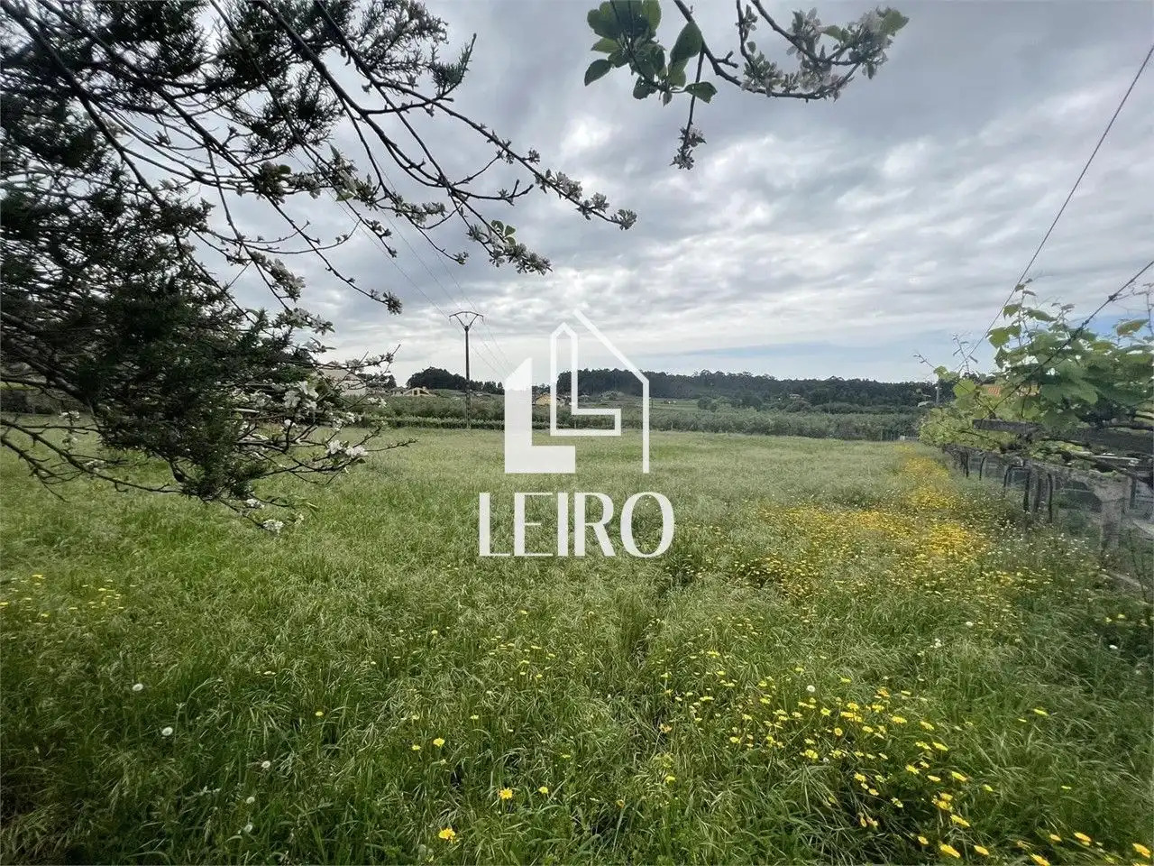 House with garden for sale in Vilagarcía, imagen 3