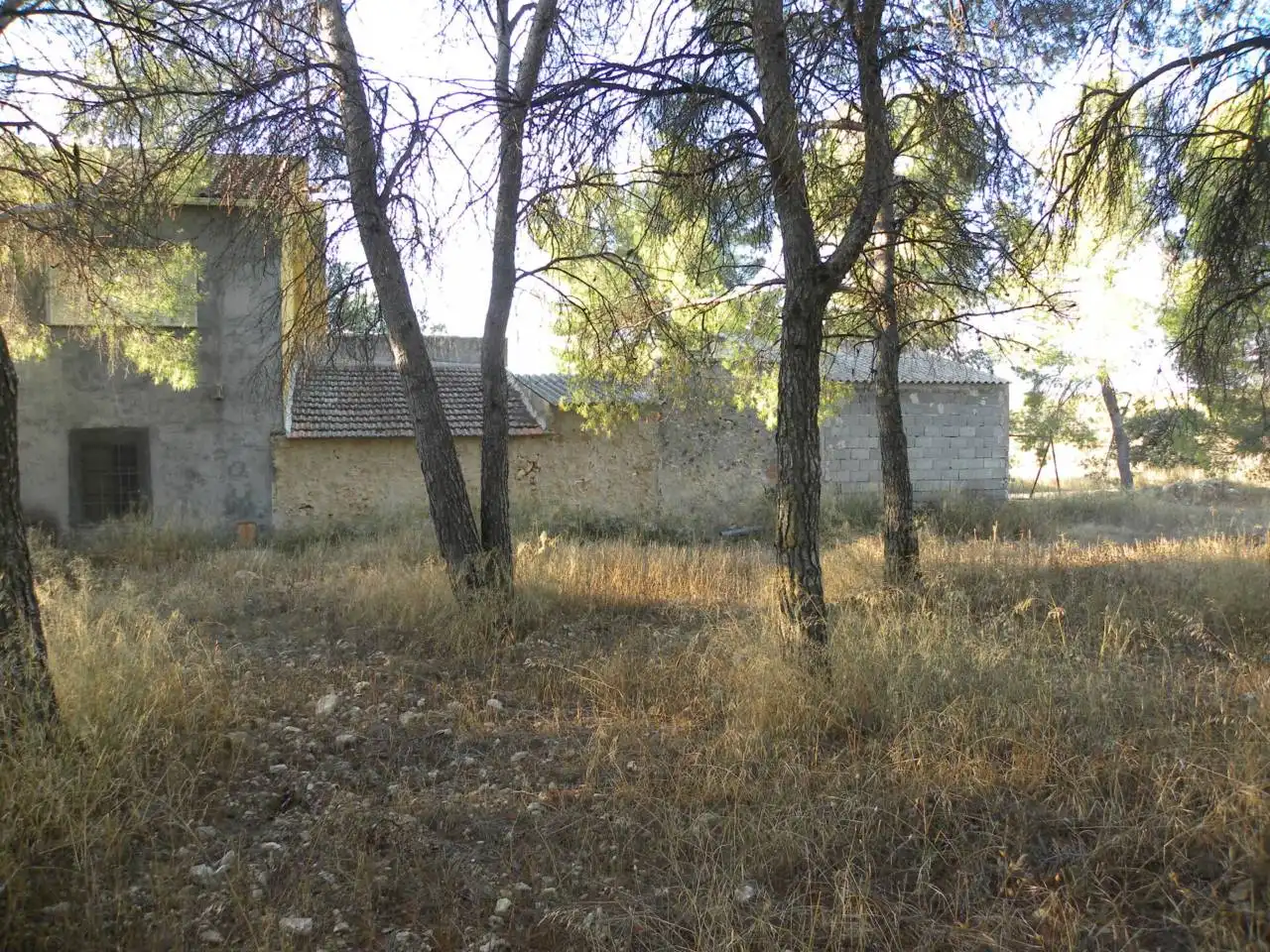 Country house with garden for sale in Calle Diseminado Casa Pepa, imagen 39