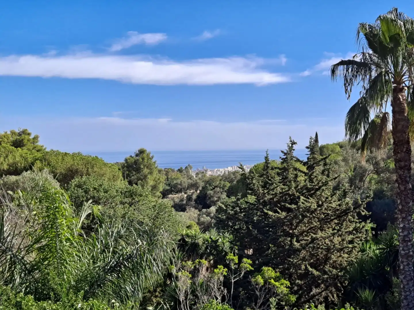 Jardín de Casa o chalet en venta en Mijas con Aire acondicionado, Terraza y Piscina