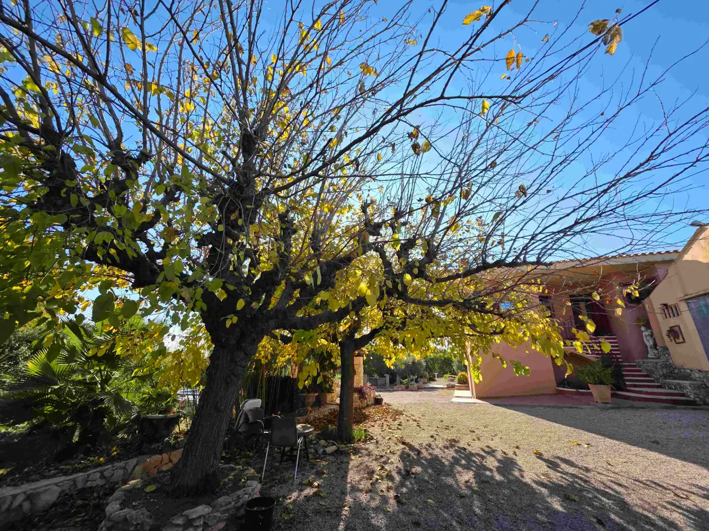 Jardín de Casa o chalet en venta en Valls con Jardín privado y Piscina