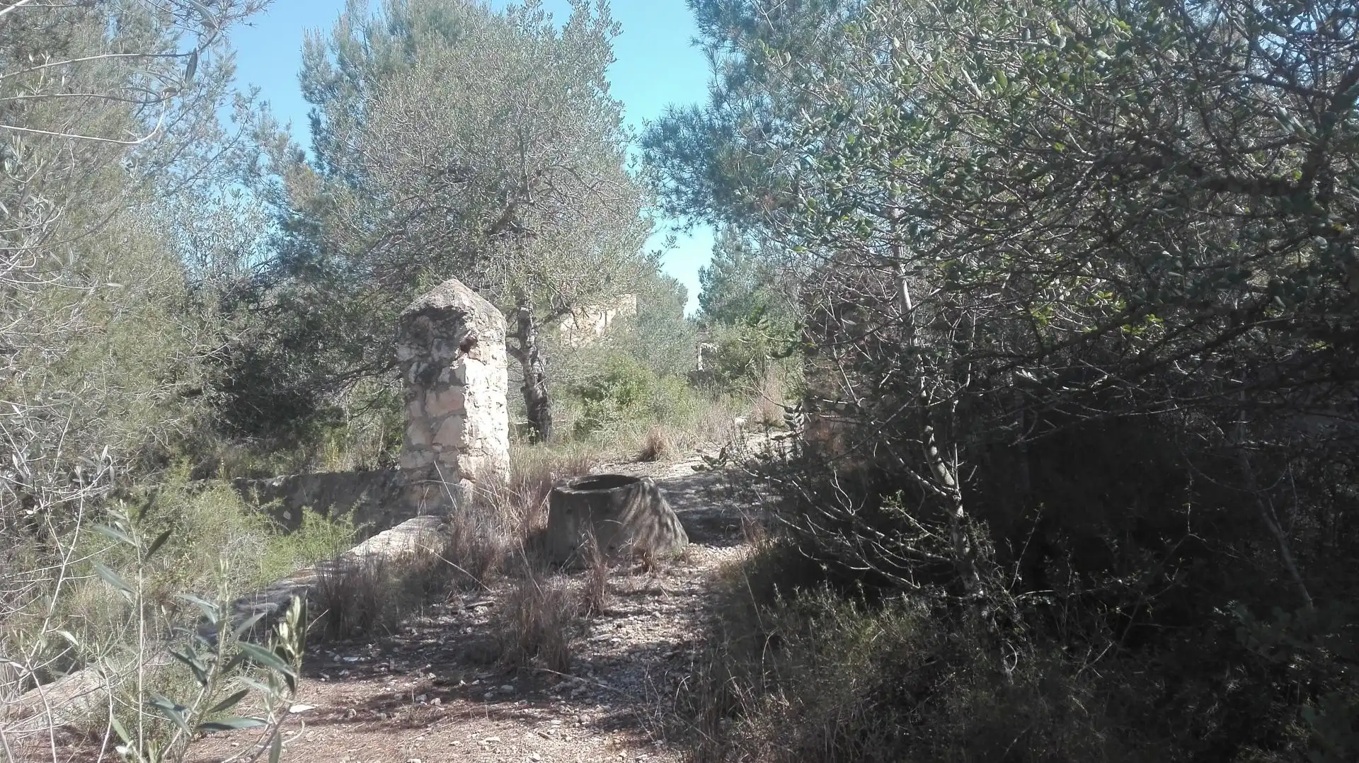 Terreni e lotti in vendita a Urbanitzacions de Llevant, imagen 15