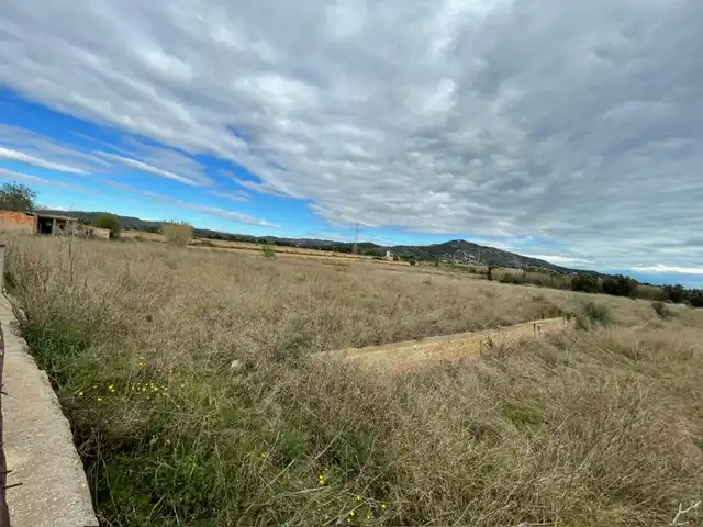 Rural land for sale in Alcossebre, imagen 14