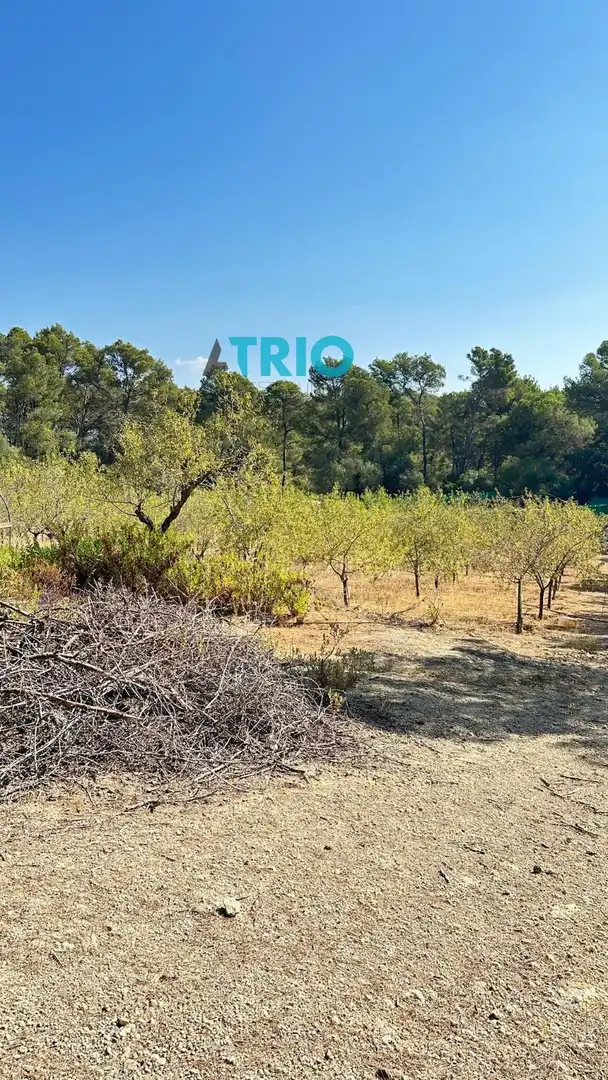 Terreno rustico in vendita a Algaida, imagen 6