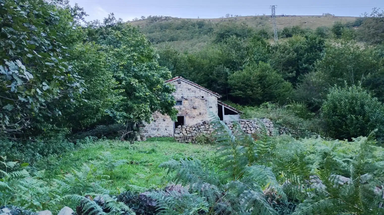 Terrain rustique à vendre à Cosío - PRAUCOS, imagen 2