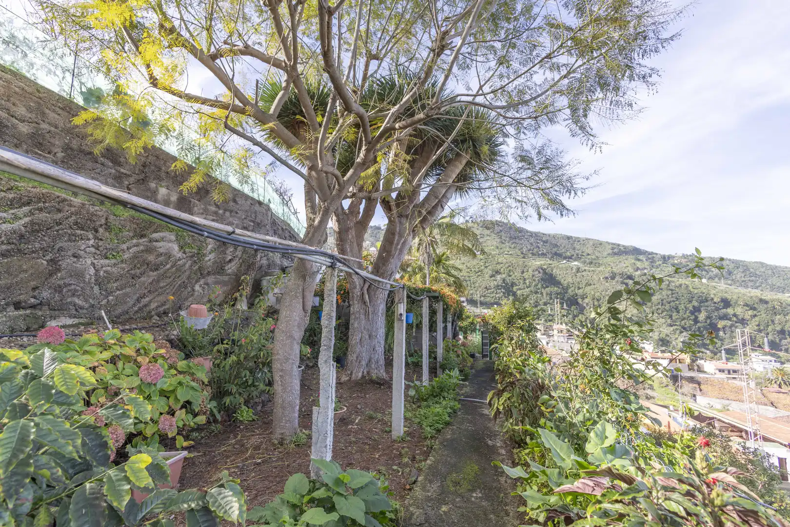 Casa o chalet en venta en Icod de los Vinos pueblo