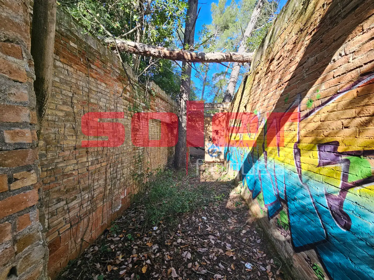 Vista exterior de Finca rústica en venta en Barcelona