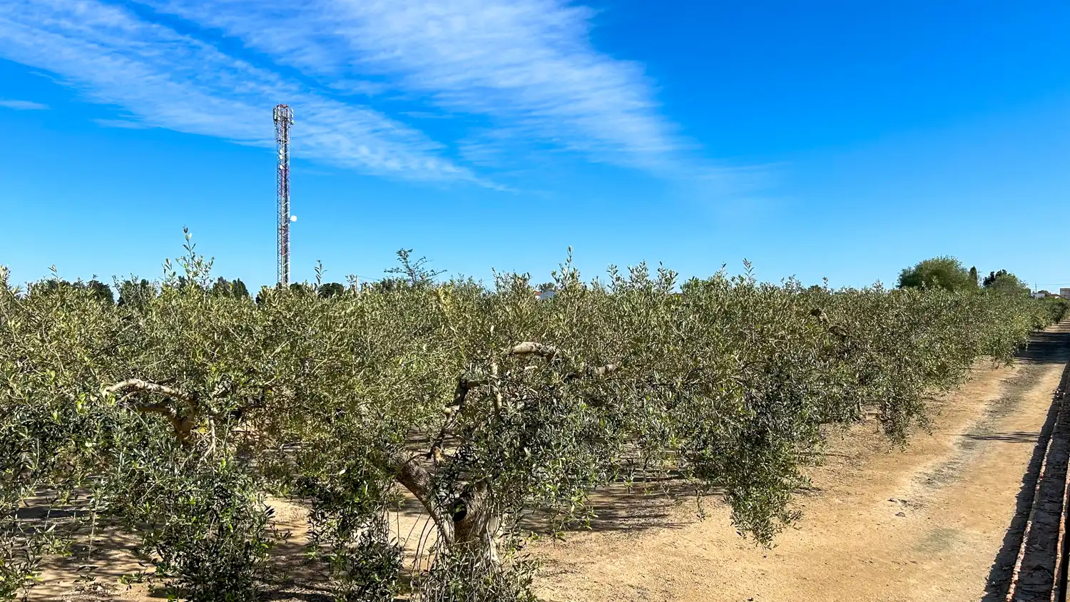 Terreny rústic en venda a Sant Jaume d'Enveja, imagen 3