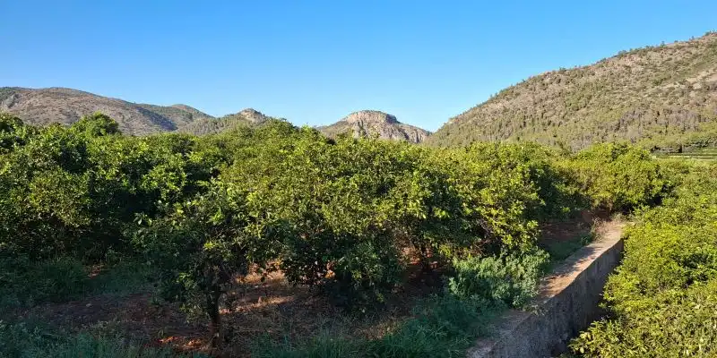 Terrain rustique à vendre à Terrenos MARXUQUERA  ALTA, imagen 24