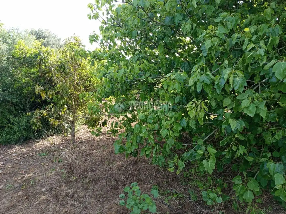 Terreno en venta en San Roque