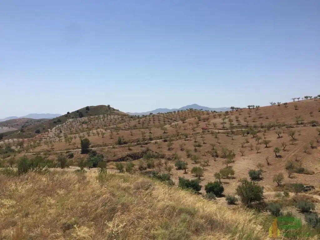 Terreni e lotti in vendita a Sierra de La Torrecilla, imagen 7