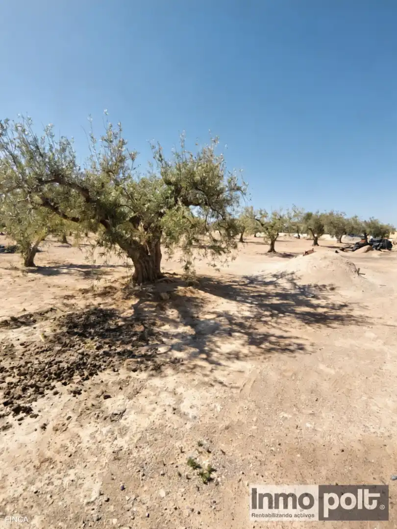 Country house zum Verkauf in Calle Fuente Alamo de Murcia (0x6d0b0ace493fa715 1, Jerónimo y Avileses