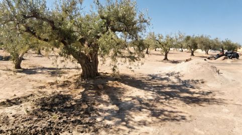 Foto 5 de Finca rústica en venda a Calle Fuente Alamo de Murcia (0x6d0b0ace493fa715 1, Jerónimo y Avileses, Murcia Capital