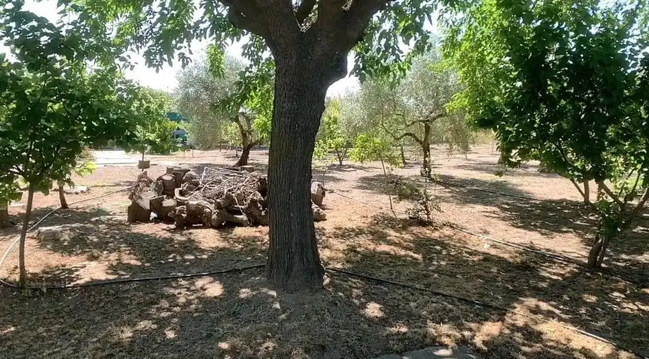 Xalet amb piscina en venda a Don Benito, imagen 20