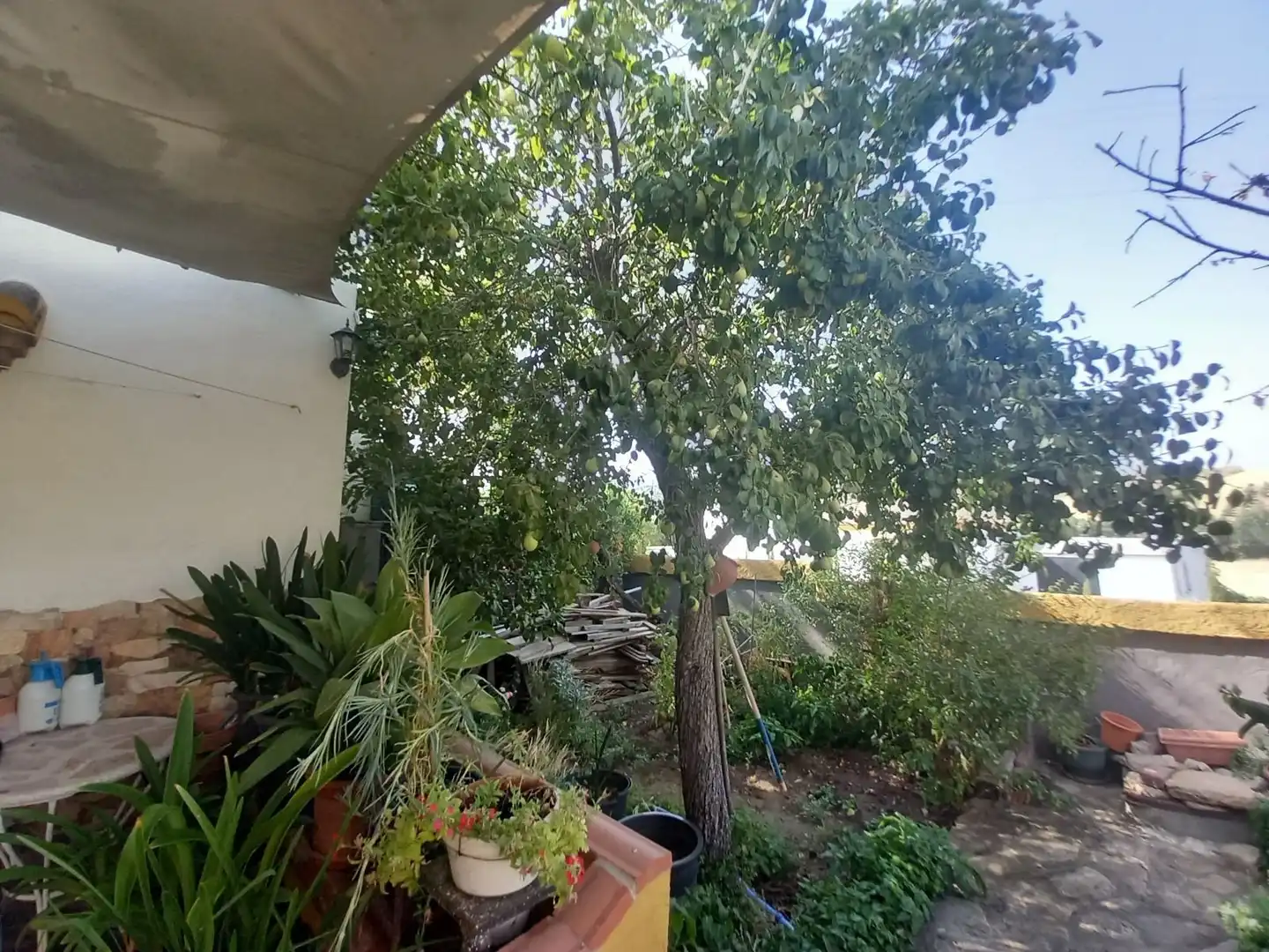 Jardín de Finca rústica en venta en Ronda con Calefacción, Jardín privado y Trastero