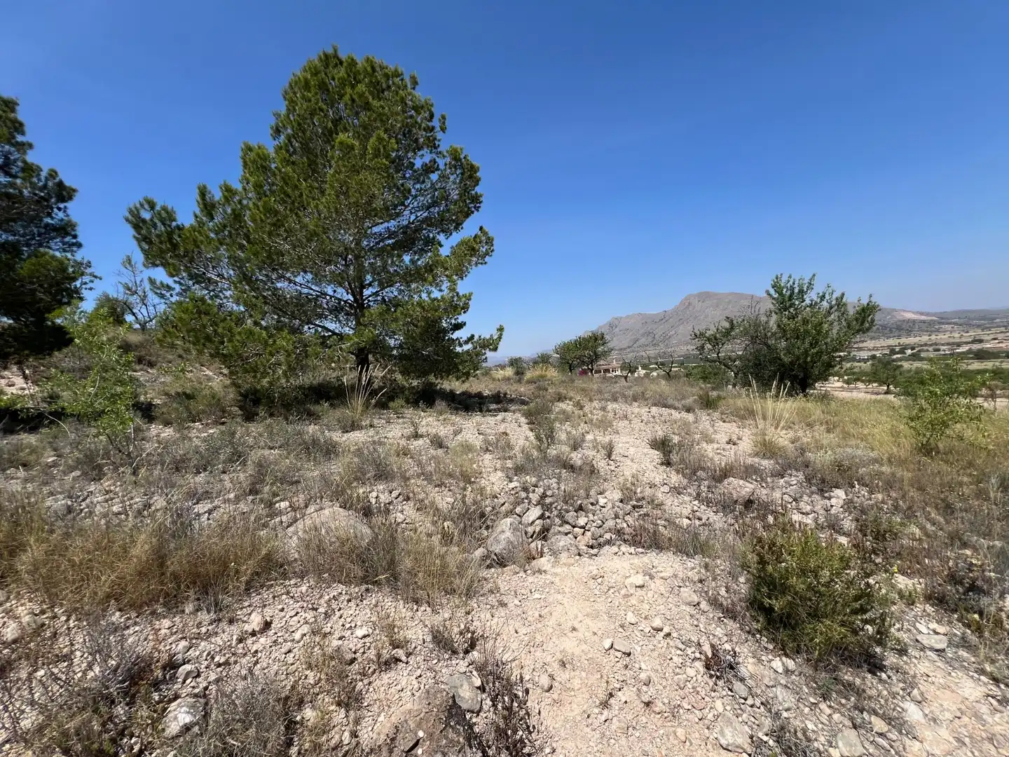 Rural land for sale in La Murada - Los Vicentes, imagen 12