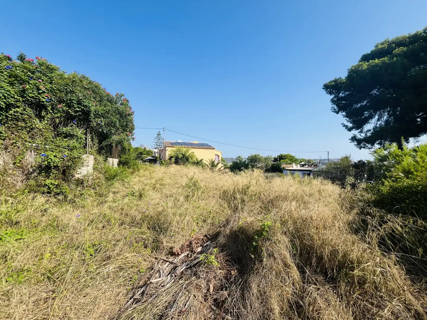 Casa o xalet en venda en Cap Martí - El Tossalet - Pinomar