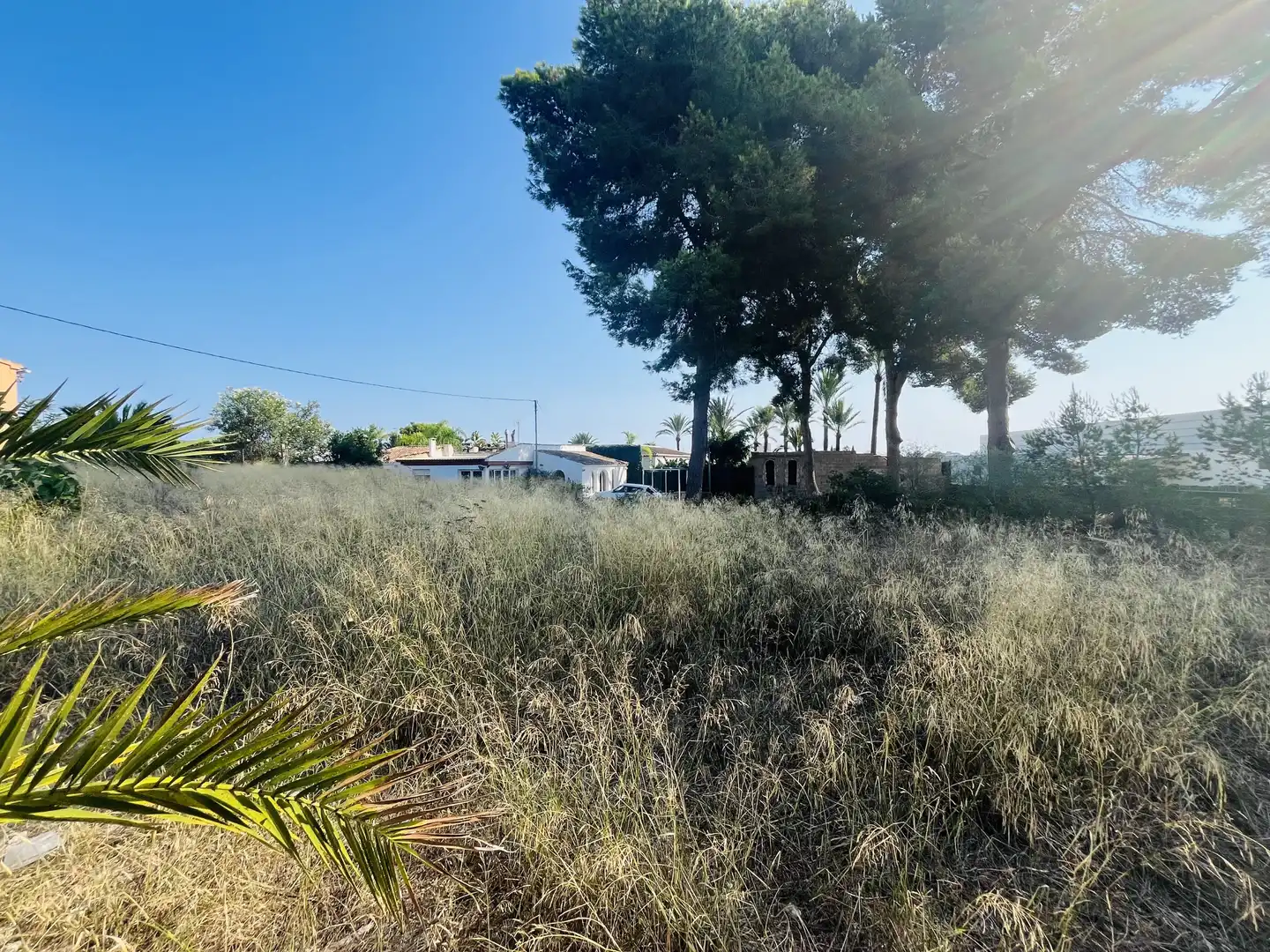 Casa o xalet en venda en Cap Martí - El Tossalet - Pinomar