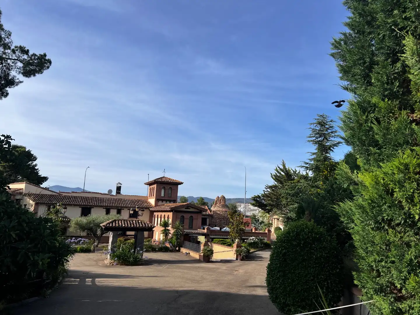 Residencial en venta en La Almunia de Doña Godina 