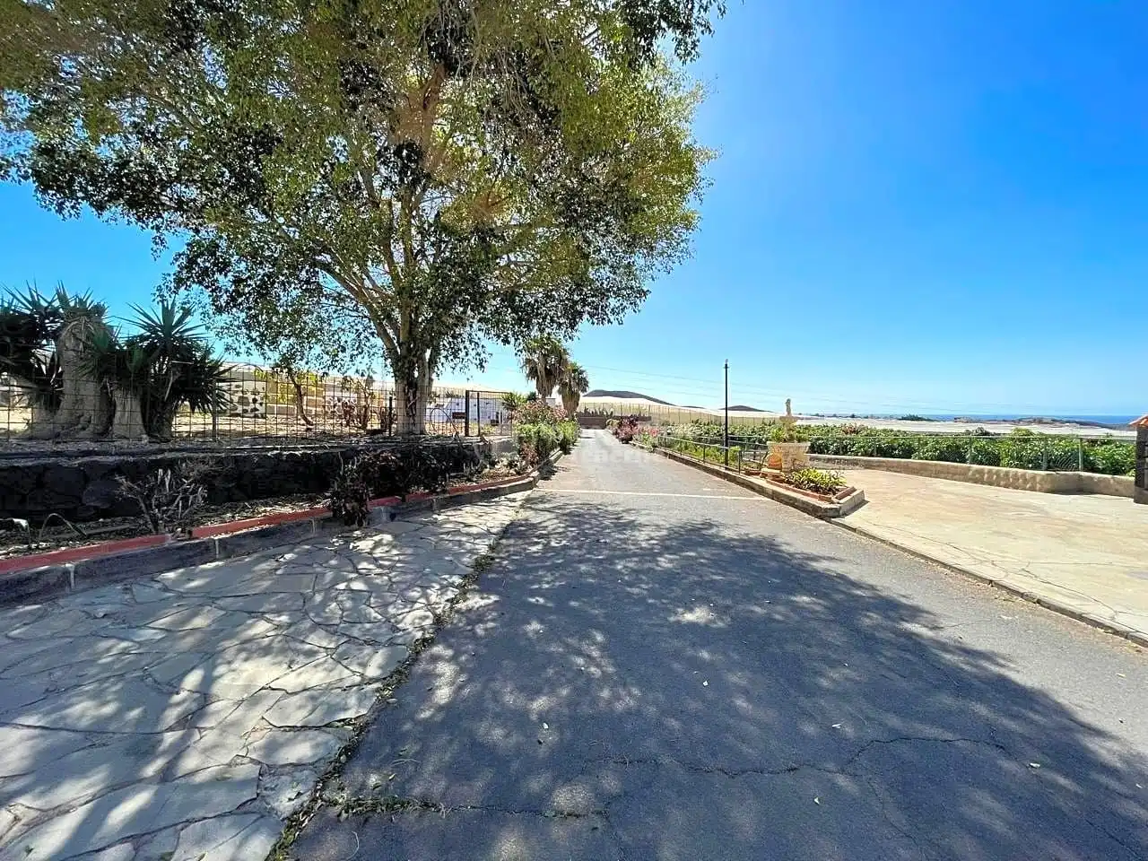 Vista exterior de Casa o chalet en venta en Arona con Jardín privado, Terraza y Piscina