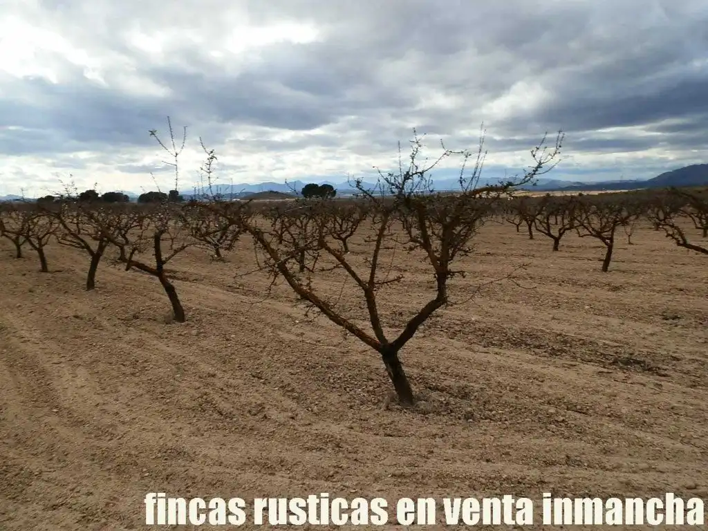 Rustikales Grundstück zum Verkauf in Cieza, imagen 7