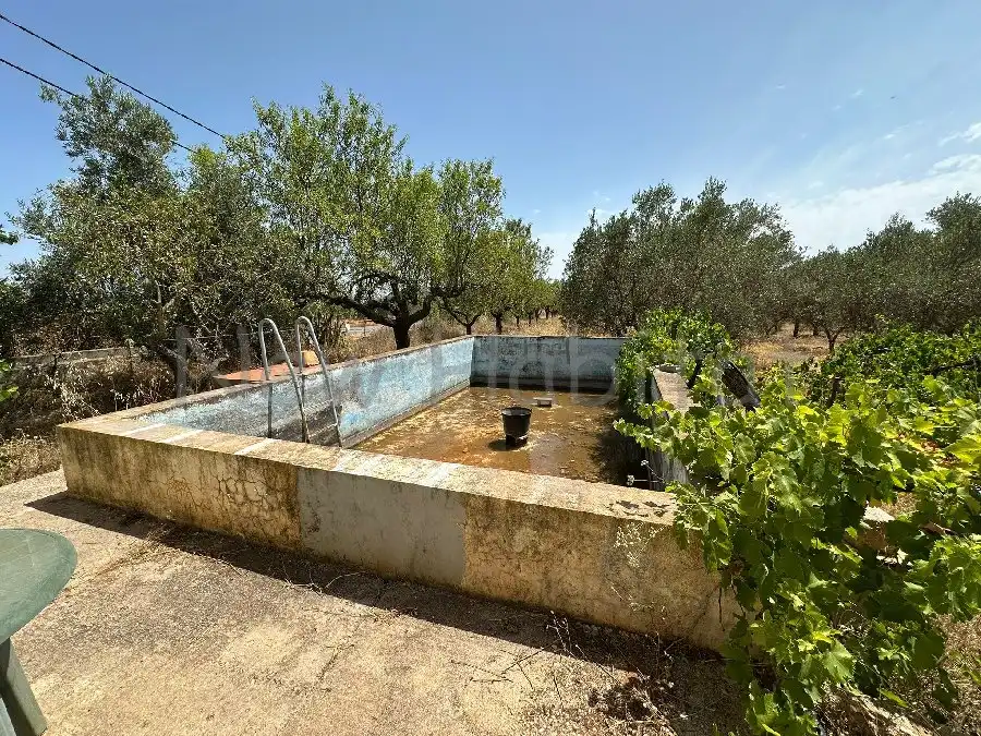 Swimming pool of Houses for sale in Vall d'Alba  with Community pool