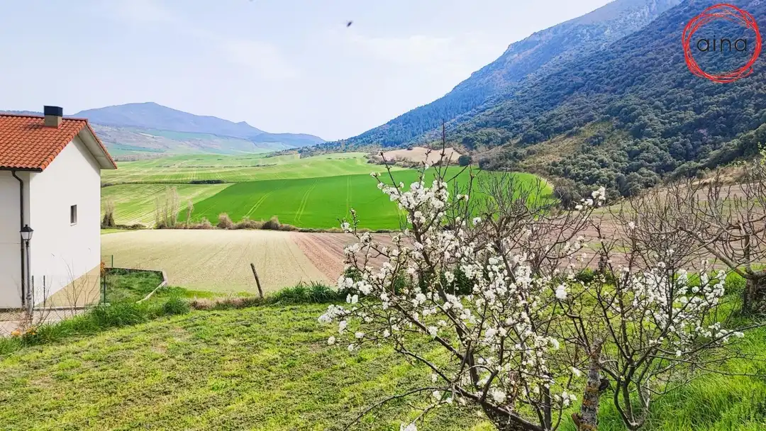 Garden of Residential for sale in Valle de Elorz / Elortzibar