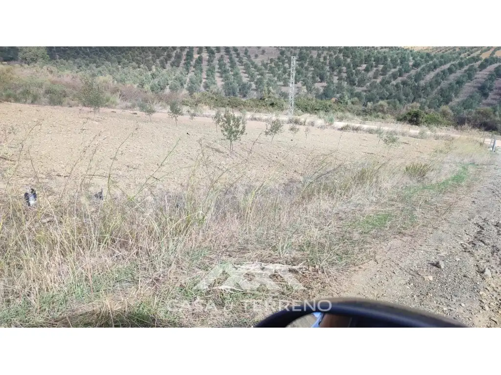 Terreni e lotti in vendita a Polígono 174 Parcela, imagen 4