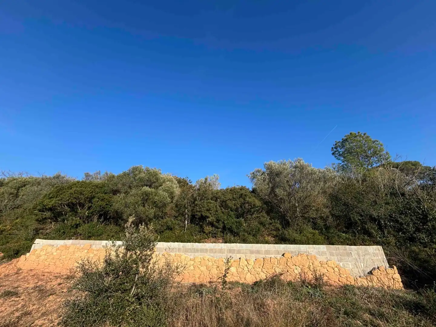 Terreny rústic en venda a Camino de Llabia a Palau S-numero, imagen 10