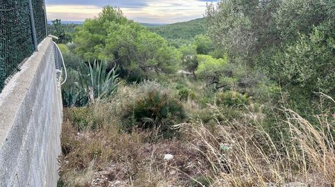GRAN TERRENO CON VISTAS!!!, imagen 4