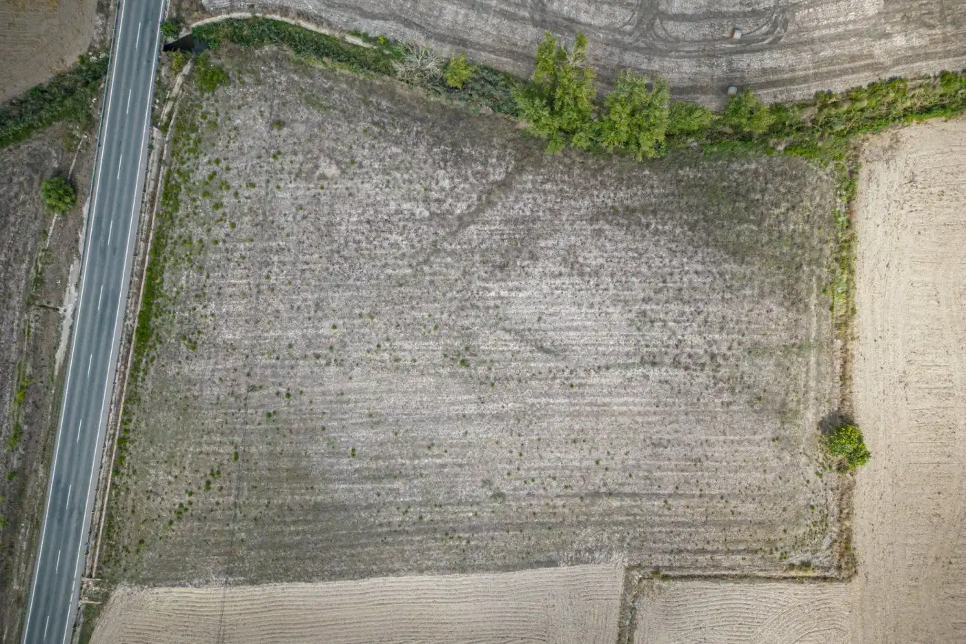 Terreno rustico in vendita a Santa Margalida Poble, imagen 2