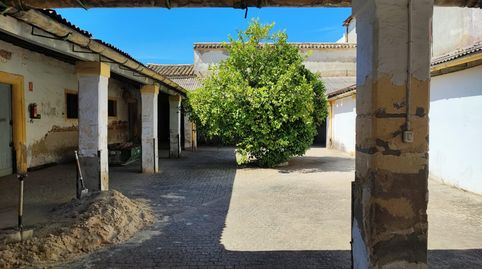 Foto 3 von Fabrikhallen zum Verkauf in Calle Pajarete, Barriada España - San Pedro, Jerez de la Frontera
