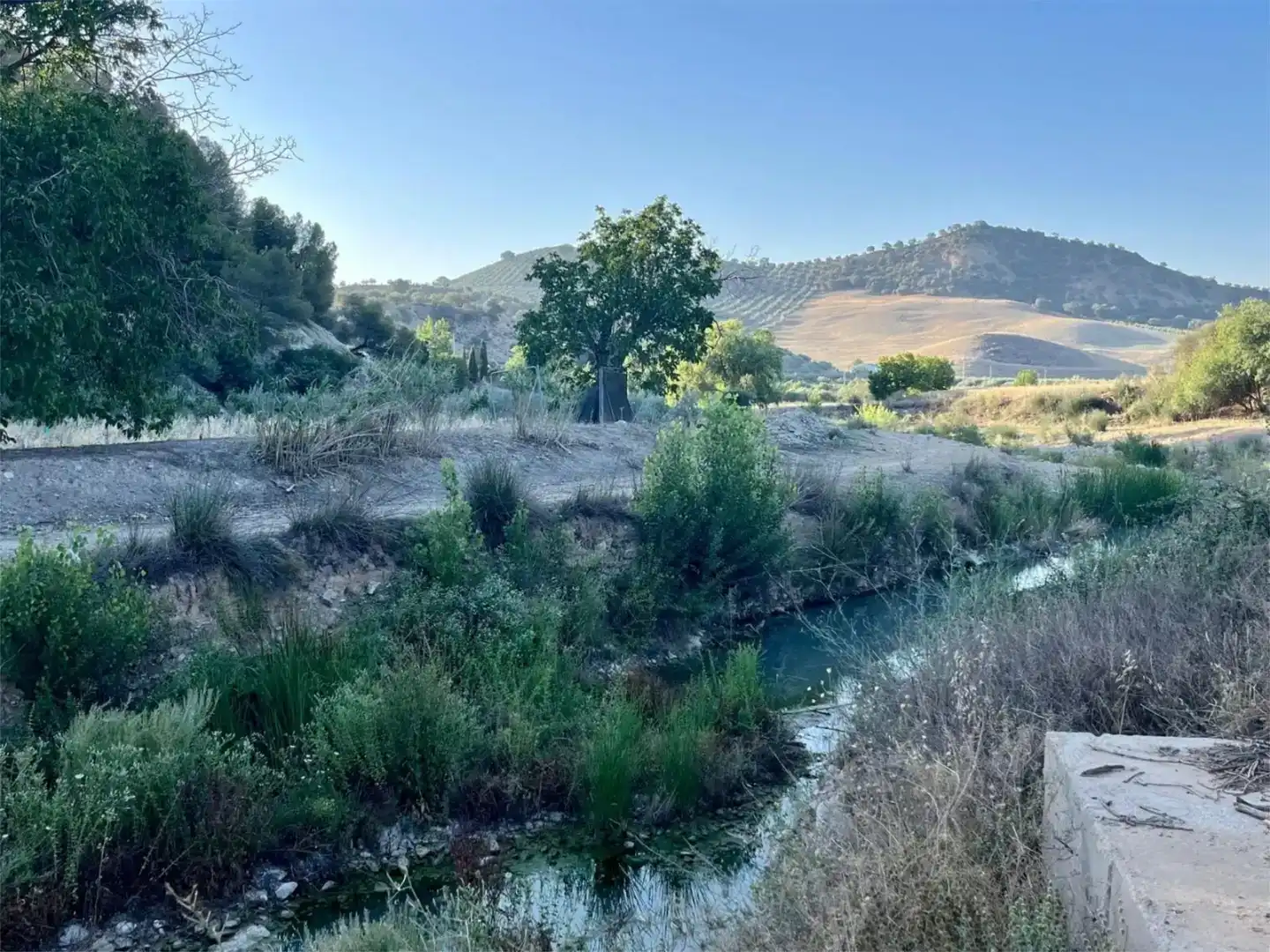 Pis en venda en Loja amb Jardí privat, Traster i Piscina