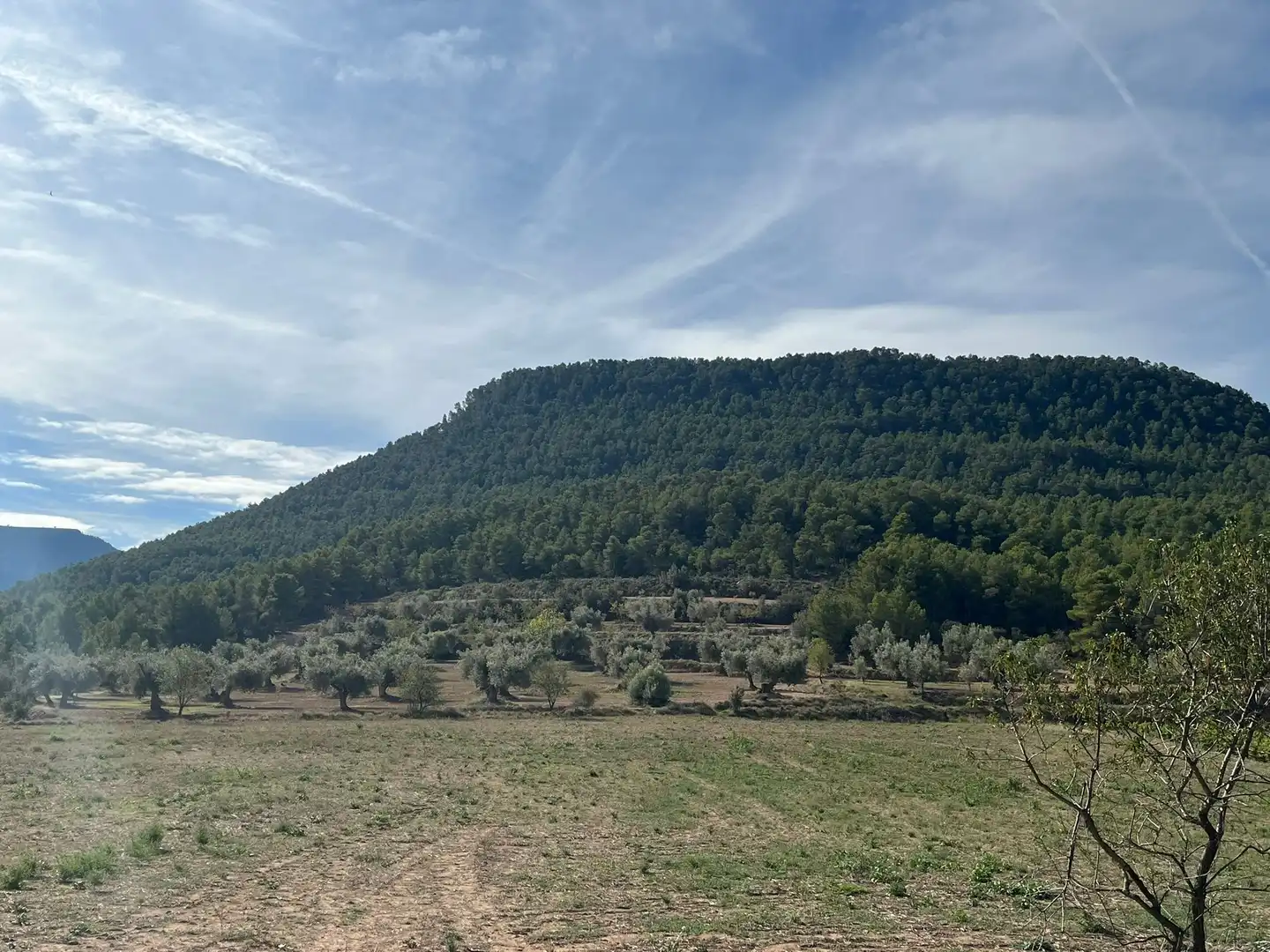 Terreni e lotti in vendita a Valderrobres, imagen 10