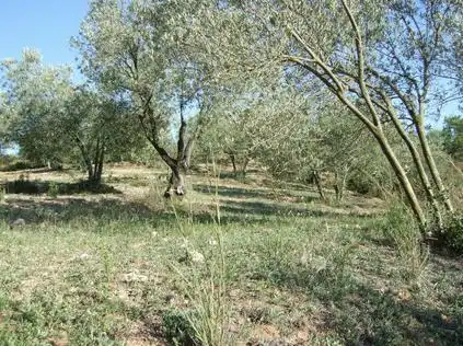 Lands and plots for sale in Lugar Can Segarra, imagen 9