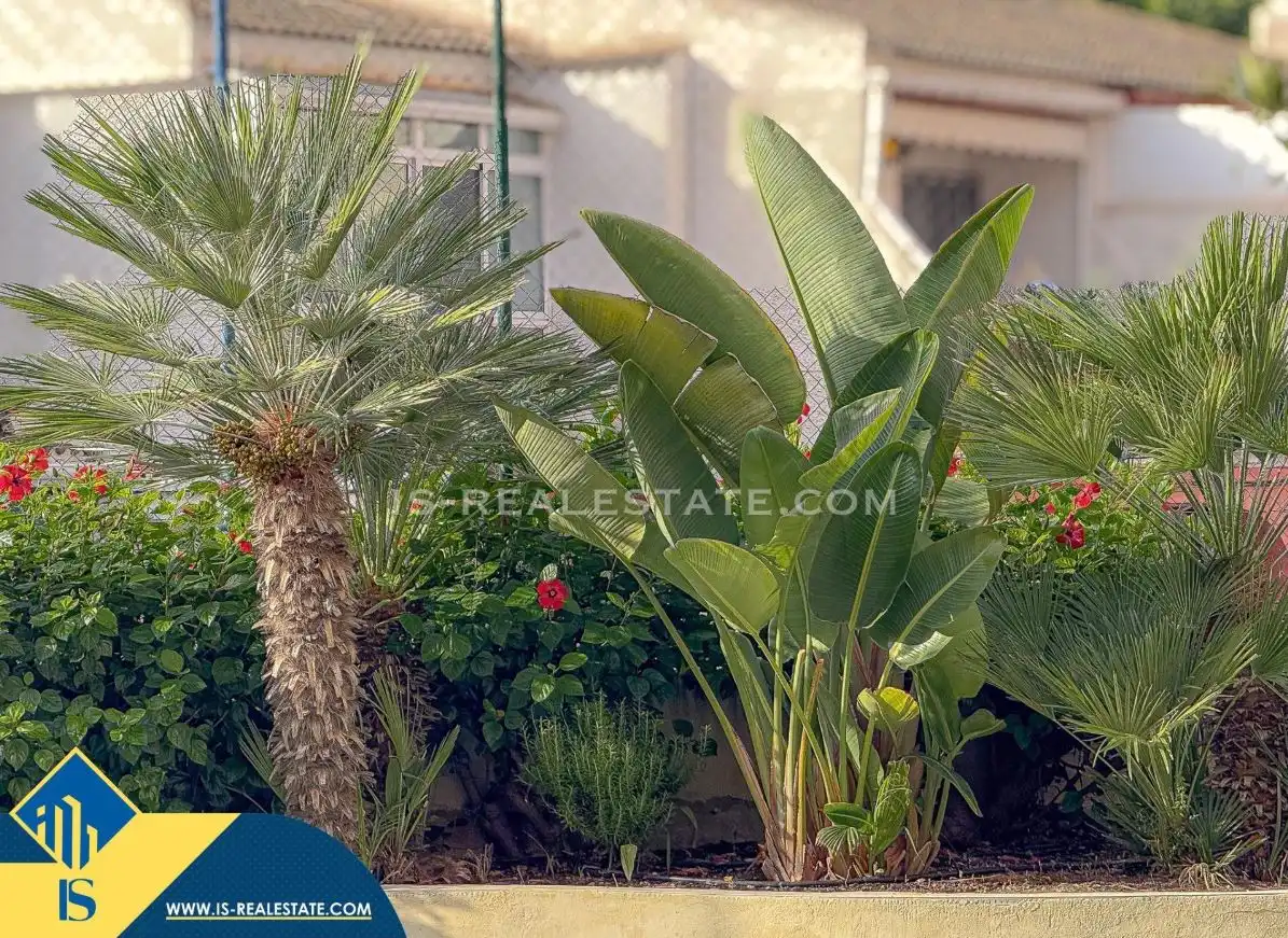 Ático con piscina en venta en Playa del Acequión, Náufragos y Rocío del Mar, imagen 39
