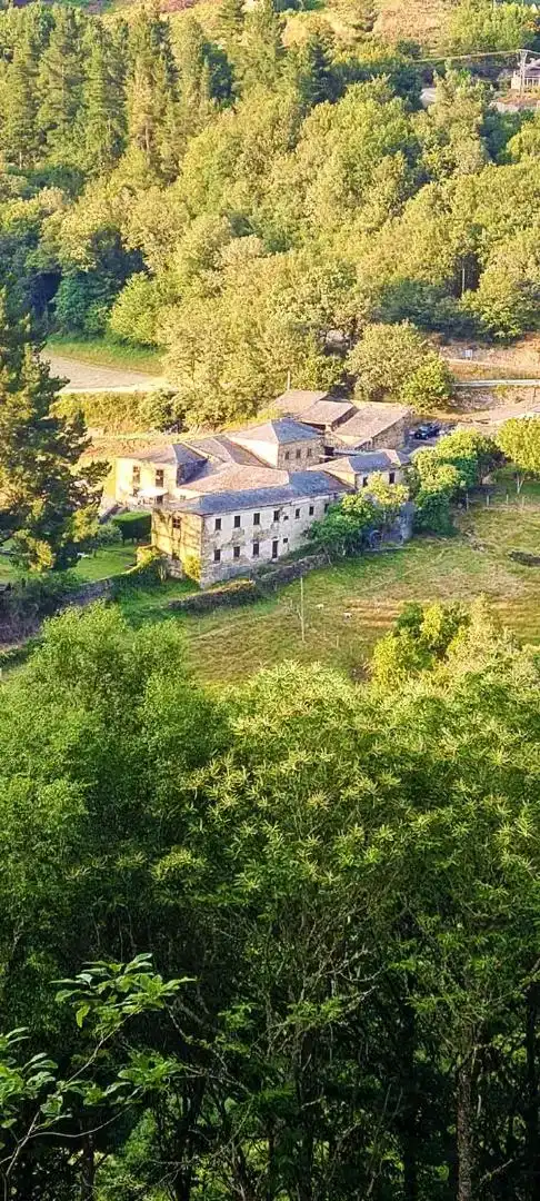 Vista exterior de Casa o xalet en venda en Santa Eulalia de Oscos, Asturias