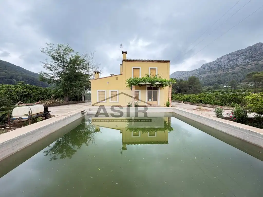 Vista exterior de Casa o chalet de alquiler en Alzira con Terraza y Piscina