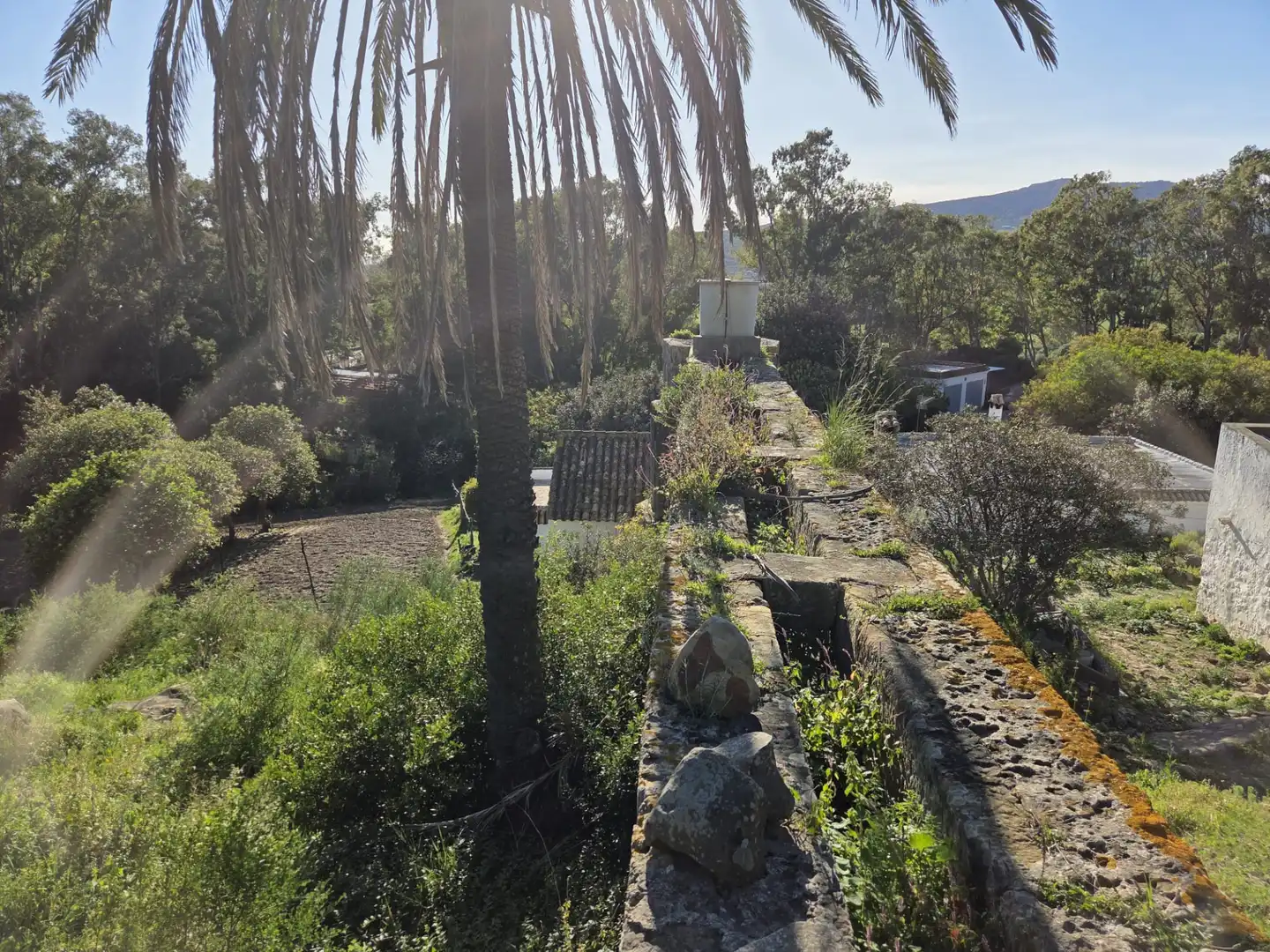 Garden of Country homes for sale in Tarifa ciudad
